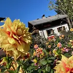 Prázdninový dům Chalet Franzi - Grosses Chalet Fuer 9 Personen Mit Bergblick & Garten, Ruhige Lage In Dorfgastein *