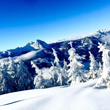 Tatil Evi Chalet Franzi - Ihr Familienchalet Mit Garten, Bergblick Und Kostenlosem Eintritt Ins Solarbad Dorfgastein *
