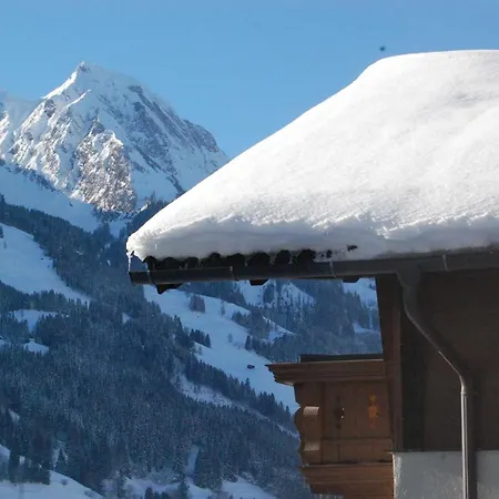 Franzi - Ruhig, Direkt An Der Piste & Ideal Fuer Familien Prázdninový dům Dorfgastein