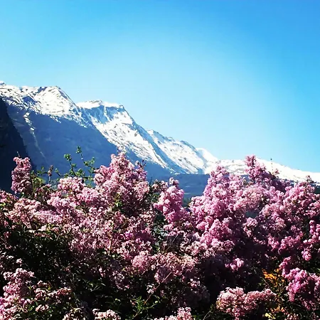 Chalet Franzi - Ihr Familienchalet Mit Garten, Bergblick Und Kostenlosem Eintritt Ins Solarbad Dorfgastein *