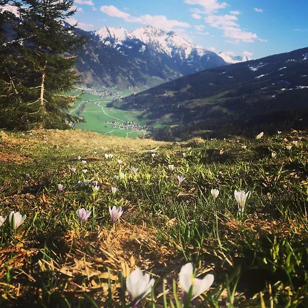 Tatil Evi Chalet Franzi - Ihr Familienchalet Mit Garten, Bergblick Und Kostenlosem Eintritt Ins Solarbad Dorfgastein Dorfgastein