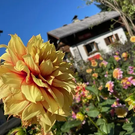 Chalet Franzi - Ihr Familienchalet Mit Garten, Bergblick Und Kostenlosem Eintritt Ins Solarbad Dorfgastein Tatil Evi