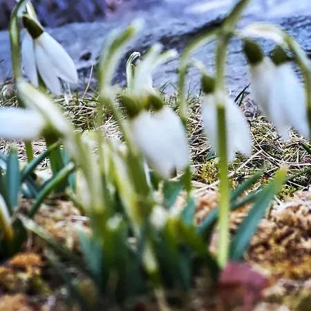 Prázdninový dům Franzi - Ruhig, Direkt An Der Piste & Ideal Fuer Familien *