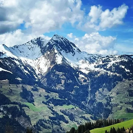 Franzi - Ihr Familienchalet Mit Garten, Bergblick Und Kostenlosem Eintritt Ins Solarbad 度假居