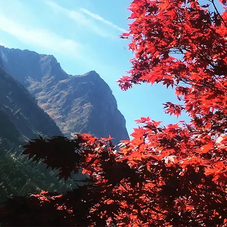 Semesterbostad Franzi - Bergblick, Garten & Gratis Solarbad Im Gasteinertal *