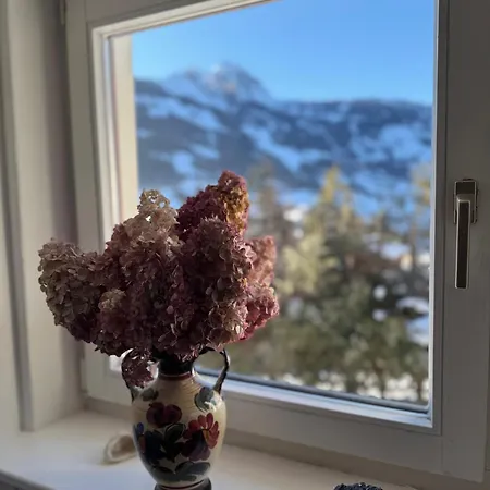 Semesterbostad Franzi - Bergblick, Garten & Gratis Solarbad Im Gasteinertal *