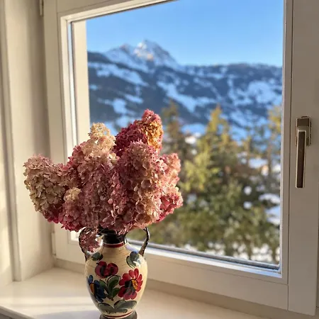 Franzi - Bergblick, Garten & Gleich Neben Der Piste *