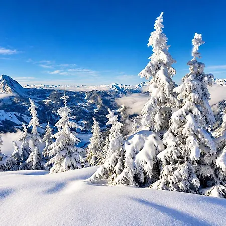 Franzi - Bergblick, Garten & Gleich Neben Der Piste Casa vacanze Dorfgastein